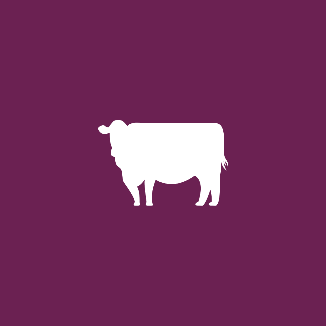 Qurban