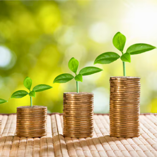 Zakat al-Maal (2.5%)